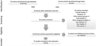 Imaging Violence in Schizophrenia: A Systematic Review and Critical Discussion of the MRI Literature